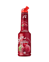 MIXER RASPBERRY PUREE