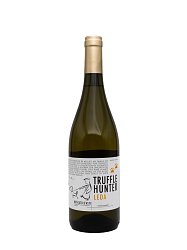 TRUFFLE HUNTER LEDA MOSCATO D’ ASTI