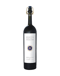 JACOPO POLI BARRILI DI SASSICAIA