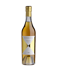 GAJA GRAPPA MAGARI