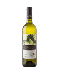 ESTATE MERKOURI FOLOI