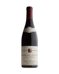 SERAFIN CHAMBOLLE MUSIGNY 1ER CRU LES BAUDES