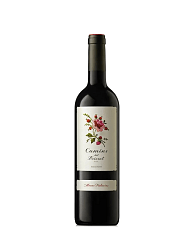PALACIOS ALVARO PRIORAT CAMINS DEL PRIORAT