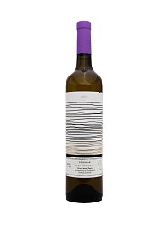 MONEMVASIA WINERY TSIMBIDI KIDONITSA