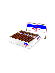 SOLAR ROBUSTO