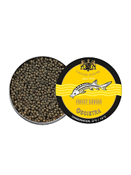 CAVIAR OSCIETRA FINEST 30gr