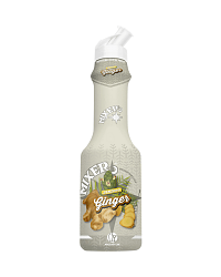 MIXER GINGER SYRUP
