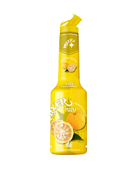 MIXER YUZU PUREE