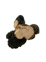 ΤΡΟΥΦΑ ΦΡΕΣΚΙΑ ΚΑΛΟΚΑΙΡΙΝΗ (TUBER AESTIVUM ) 100gr