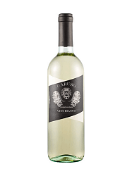 VINICOLA TOMBACCO CARUSO