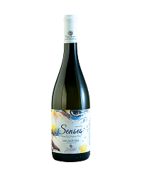 SENSES MALAGOUSIA