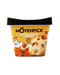 ΠΑΓΩΤΟ VANILLA SALTED CARAMEL 900ml