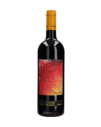 BIBI GRAETZ COLORE