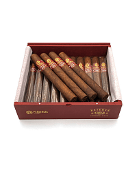 PLASENCIA RESERVA CHURCHILL 1898 20'