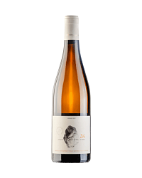 KARAMOLEGOS ASSYRTIKO 34
