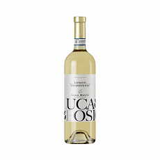 LUCA BOSIO LANGHE
