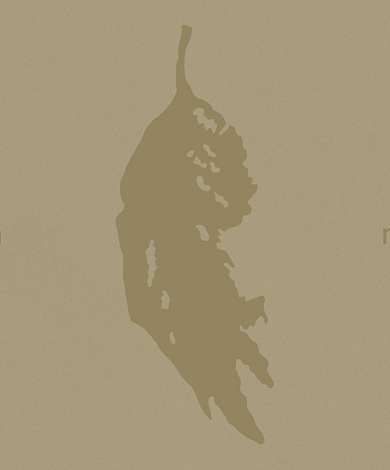 echoes in matter. the gift design series.