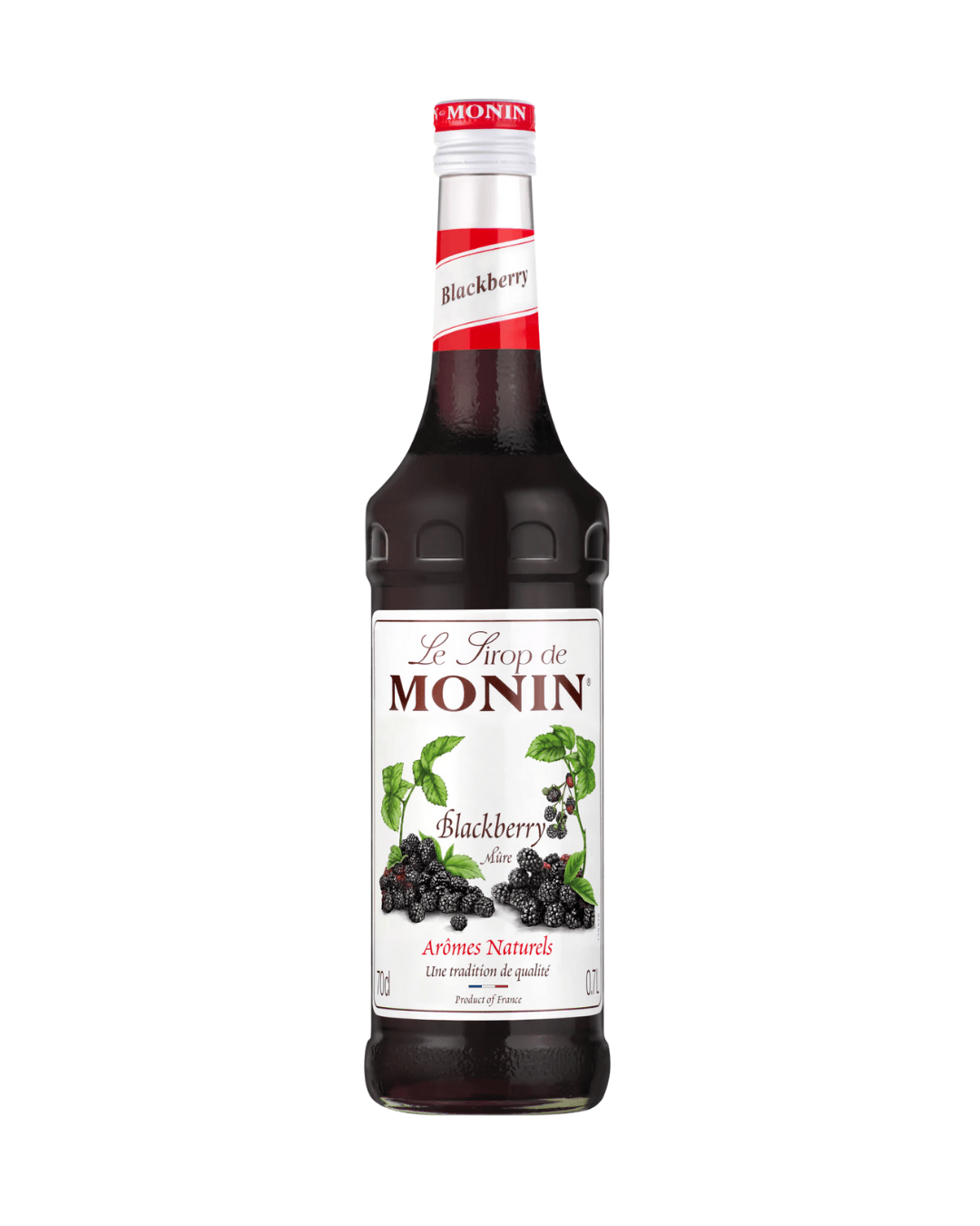 MONIN SYRUP BLACKBERRY