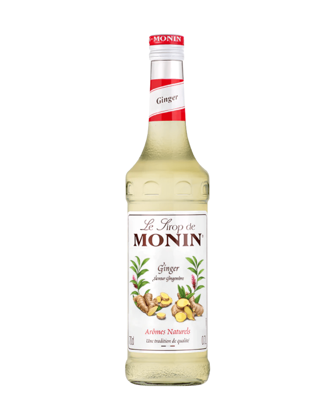 MONIN SYRUP GINGER