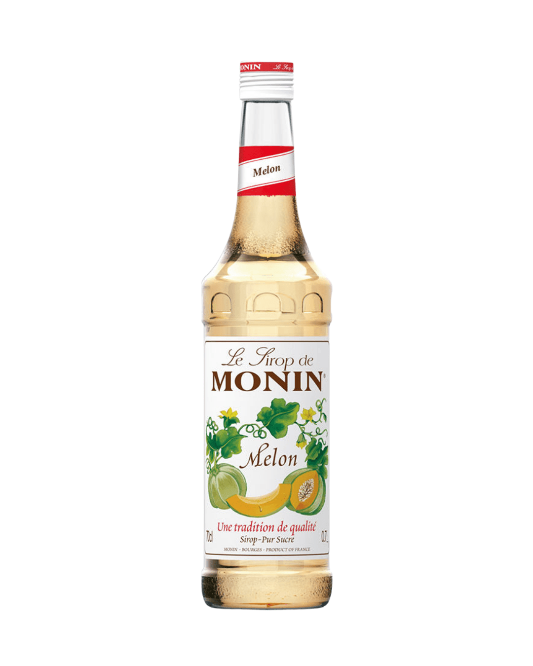 MONIN SYRUP MELON