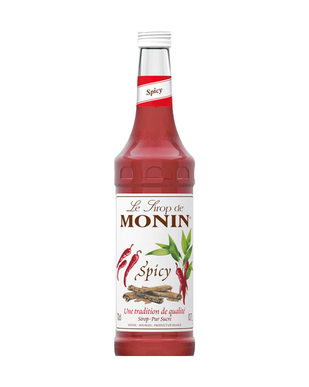 MONIN SYRUP SPICY