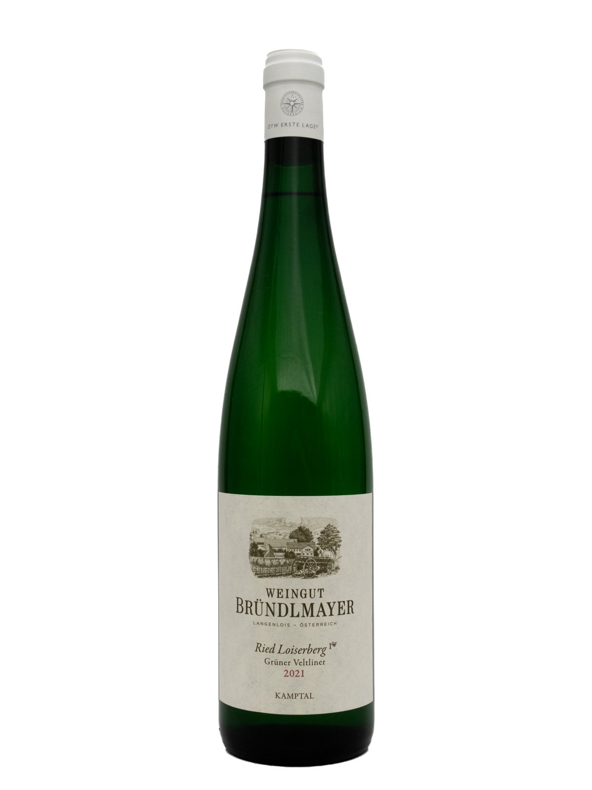 BRUNDLMAYER LOISERBERG