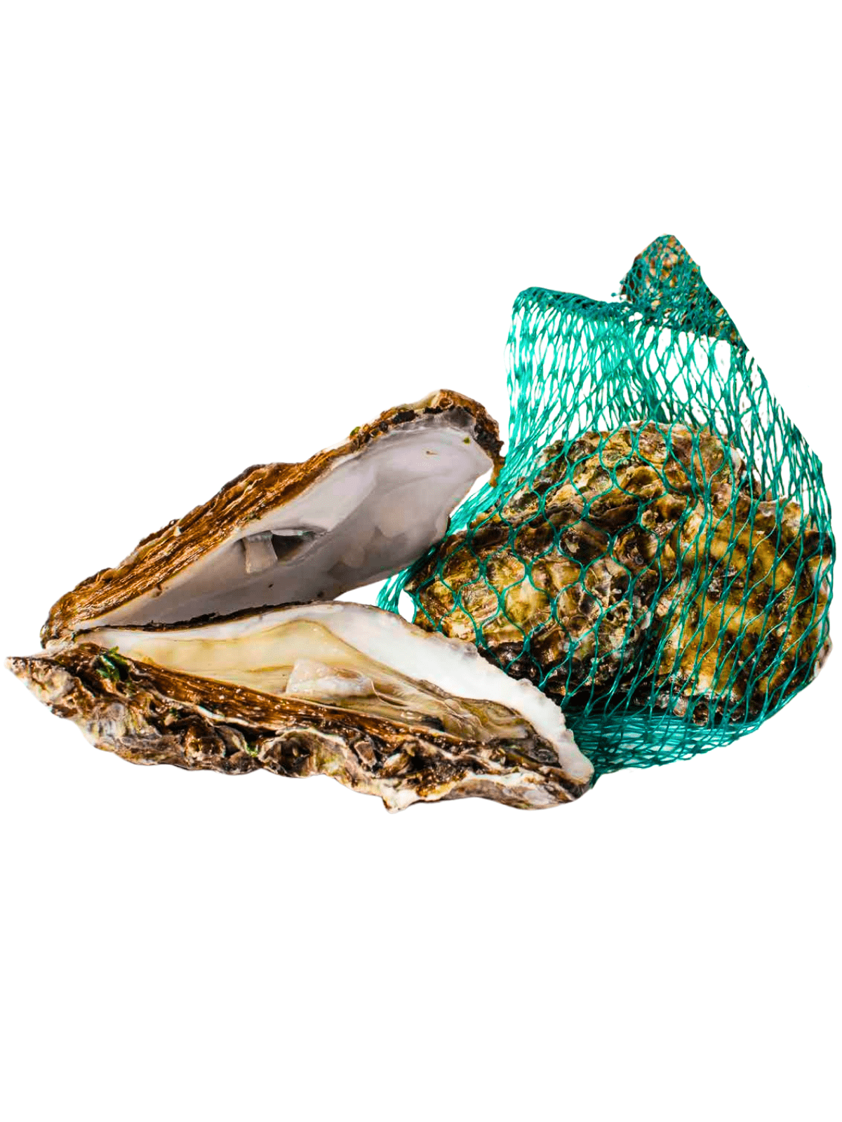 ΣΤΡΕΙΔΙΑ ROCK OYSTER BARCLAY'S No 3 80-150gr/ΤΜΧ