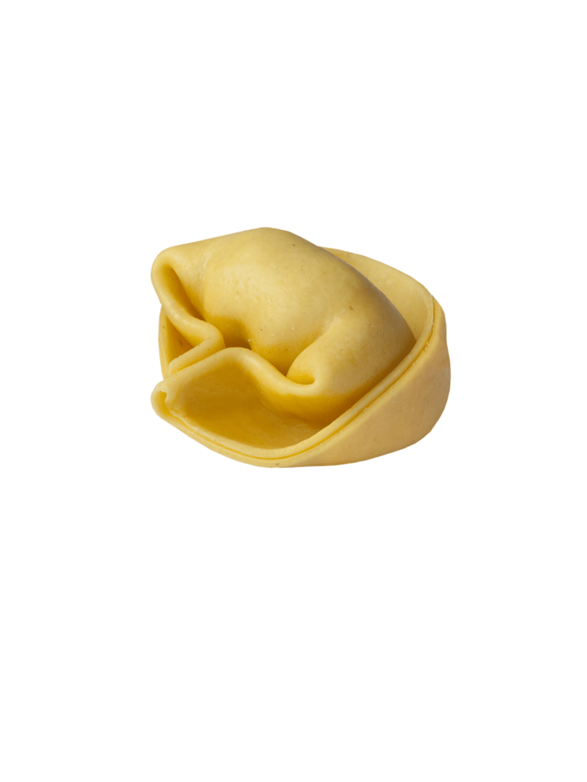 TORTELLONI AI FUNGHI PORCINI FROZEN