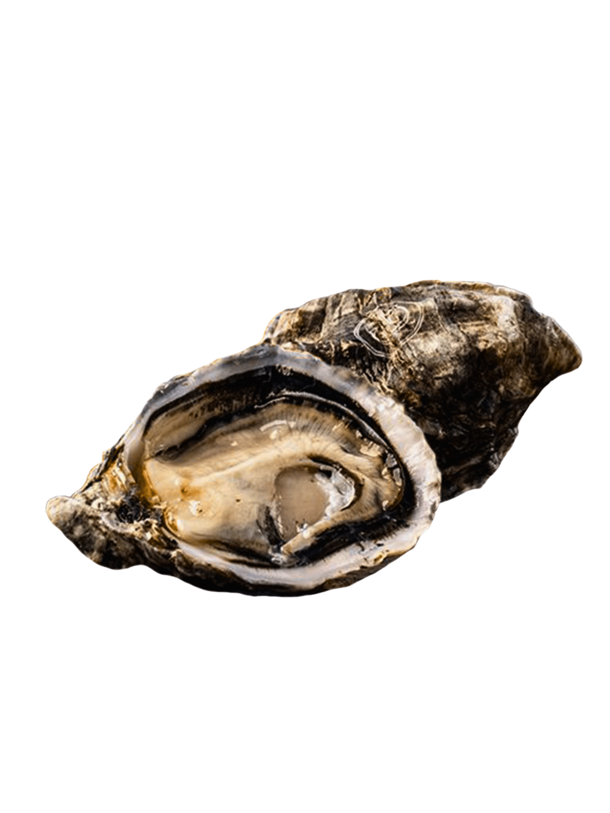 ΣΤΡΕΙΔΙΑ GILLARDEAU SPECIALES No2 80-120gr/TMX